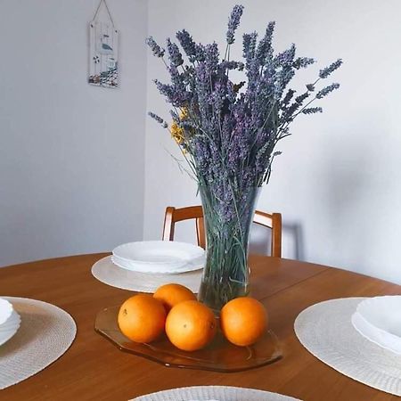 Willa Istrian House Mojca Koper Zewnętrze zdjęcie