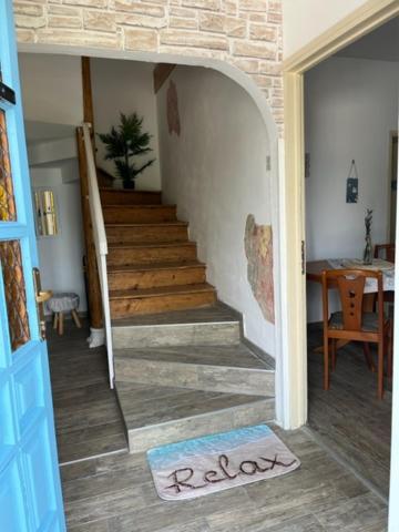 Willa Istrian House Mojca Koper Zewnętrze zdjęcie
